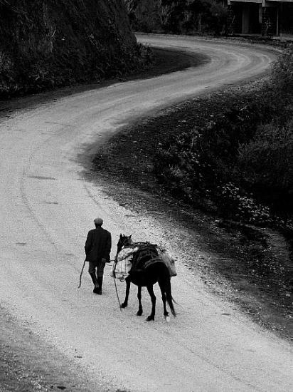 RÜMEYSA ERTEM:YOLLAR