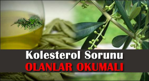 Kolesterolü olanlar okumalı