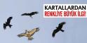 Kartallardan Renkliye Büyük İlgi!