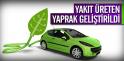 Yakıt Üreten Yaprak Geliştirildi