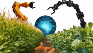 TARIM SİSTEMİ VE BİLİM - Seyfi TURAN 