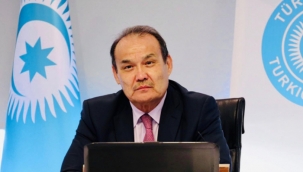 Türk Konseyi, Sağlık Bilim Kurulunun İlk Video Konferans Toplantısını düzenledi