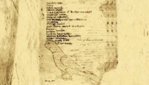 TÜRKÇE (TÜRK DİLLERİ) 