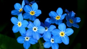 UNUTMA BENİ - Yazan: Hüseyin ALPASLAN