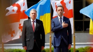 Ukrayna ve Gürcistan'dan ortak Rus işgali tepkisi 