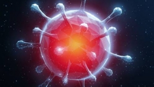 YAĞMUR BİRCAN YAZDI: KORONAVİRÜS