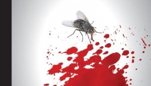 Gözlemden hikayelere