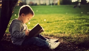 Lawrence Kohlberg'in Ahlaki Gelişim Aşamaları 