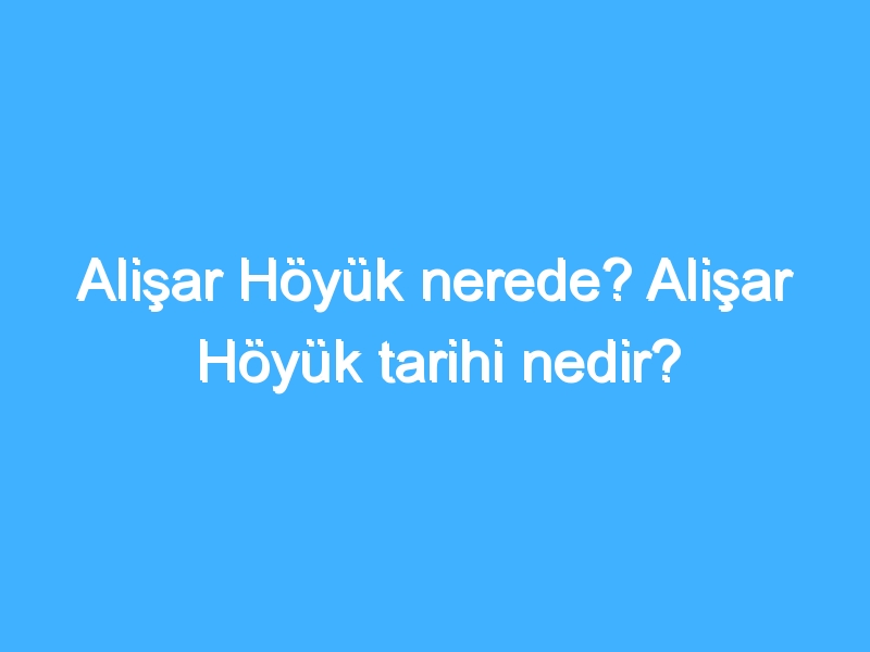 Alişar Höyük Nerede? Alişar Höyük Tarihi Nedir? 