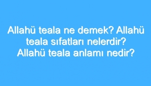 Allahü Teala Ne Demek? Allahü Teala Sıfatları Nelerdir? Allahü Teala Anlamı Nedir? 