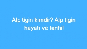 Alp Tigin Kimdir? Alp Tigin Hayatı Ve Tarihi! 