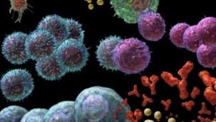 Koronavirüs sonrası antikor seviyeleri düşüyor 