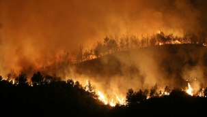 PKK'LILARIN ATEŞE VERDİĞİ HATAY'DAKİ SOĞUTMA ÇALIŞMALARI SÜRÜYOR 