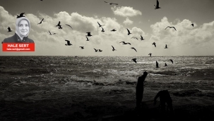 Sait Faik, Haşim: Doğa ve insanın kıyıcılığı - HALE SERT