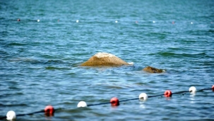 Tesadüfen bulunan 2 bin yıllık tarih göl suları çekilince gün yüzüne çıktı