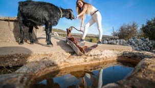 800 yıllık geçmişe sahip Sarıhacılar Mahallesi ilgi odağı