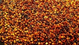 Sait Ebinç: KAVURMADAN KAVURGAYA: VAN'DA UZUN KIŞ GECELERİ 