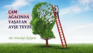 Çam Ağacında Yaşayan Ayşe Teyze - YARD. DOÇ. DR. ÖMER HAKAN YAVAŞOĞLU 
