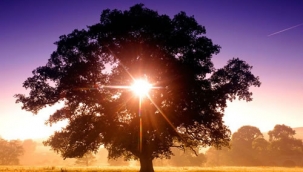 Öğretmeniniz kim? - Yazan: AFŞİN SELİM