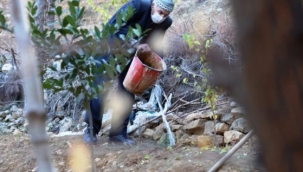 Ömrünü Doğaya Adayan Adam