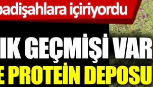 Padişahların şifa kaynağı bitki