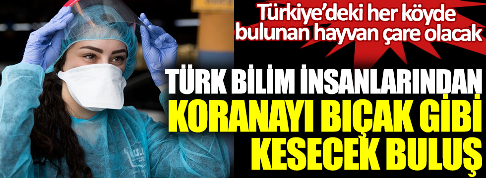 Türk bilim insanlarından virüsü kesin önleyecek buluş