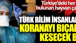 Türk bilim insanlarından virüsü kesin önleyecek buluş