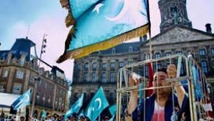UYGUR TÜRKLERİNİN ZORLA ÇALIŞTIRILMASI, HOLLANDA'NIN GÜNDEMİNE GELDİ 