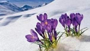 Emir Şıktaş: UNUTTUM