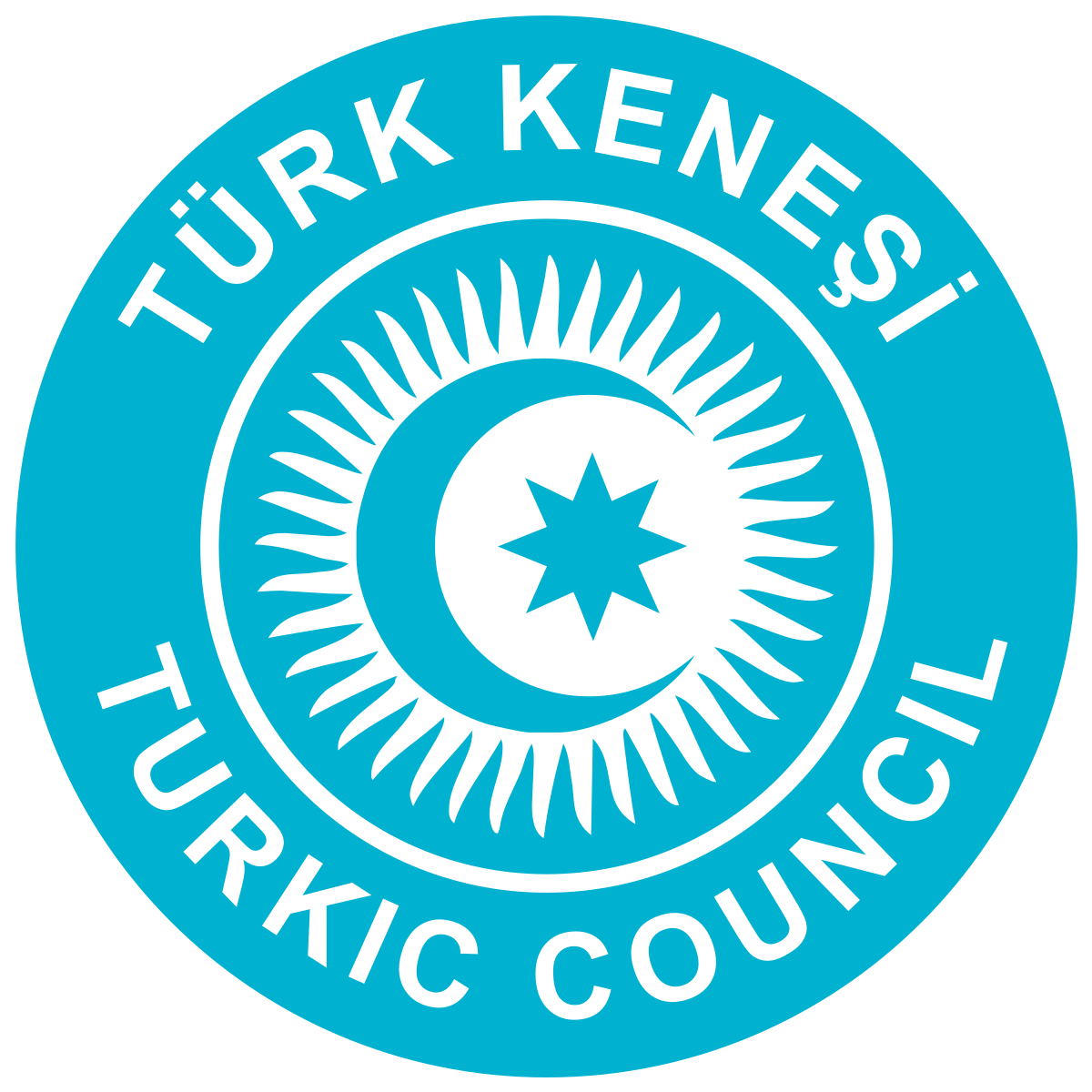 Türk Konseyi Genel Sekreterinin yeni yıl tebrik mesajı