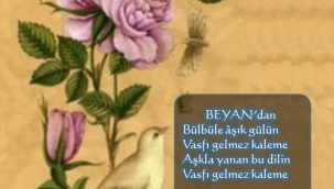 BEYAN 