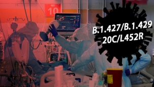 Kovid-19'un daha bulaşıcı ve tehlikeli bir türü daha tespit edildi! 