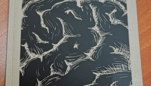 KÜLTÜR VE SANAT DÜNYAMIZIN KILCAL DAMARLARI DERGİLER: 'vesanat' DERGİSİ ÜZERİNE... 