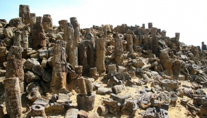 Özbekistan'ın büyüleyici 10 doğa harikası - Yazar: Medina Pulatova 