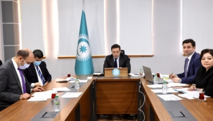 Türk Konseyi uzmanları enerji konulu ilk toplantısını online gerçekleştirdi.