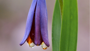 Hece Taşları Şiir Dergisi 73. sayısı yayınlandı