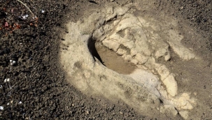 Manisa Kula'da 5 bin yıllık ayak izinin gizemi