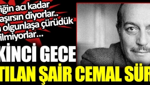 Cemal Süreyya ölümünün 31. yıl dönümünde anılıyor