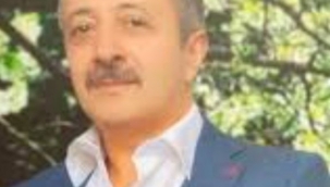 Han (Xan) Çınarı - Abil Babaoğlu 