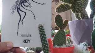 İlkay Coşkun: "Afrika: Kurutulmuş İnsan Gölgeleri" 