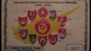 Kıbrıs'ta Türk Mukavemet Teşkilatı