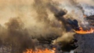 Uğur Enes Gücer: Çin'in Devam Eden Zulümleri ve Uygurlar