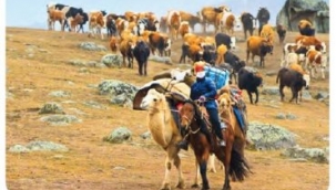 GÖÇLER VE GÖÇLERİN NEDENLERİ 