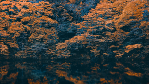 İletişim ve Toplumsal Yapı: Sözlü, Yazılı ve Görsel Kültür - Yazan: HALİL İBRAHİM KOÇ