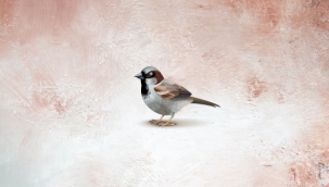 'Mavi Yeşil' Dergisinin 129. Sayısında 'Tanpınar Dosyası' ile çıktı 