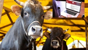 Diyanet İşleri 2021 kurban kesimi tebliği Resmi Gazete'de yayımlandı 