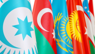 Müge Karaçalıoğlu: TÜRK KENEŞİ VE TÜRK BİRLİĞİ ÜZERİNE İNCELEME 