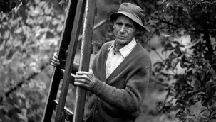 TANER AY: Hardanger'in bahçelerinden gelen 'elma kokusu'