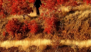 Hece Taşları dergisi 79. sayısı yayınladı