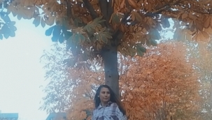 İREM SULTAN KÖZEN: Tak Taklar